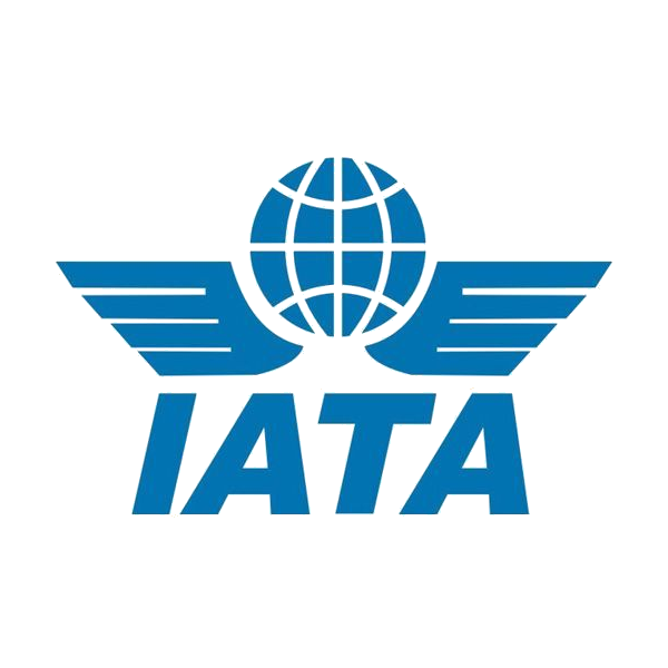 International Flight Ticket Agency Service